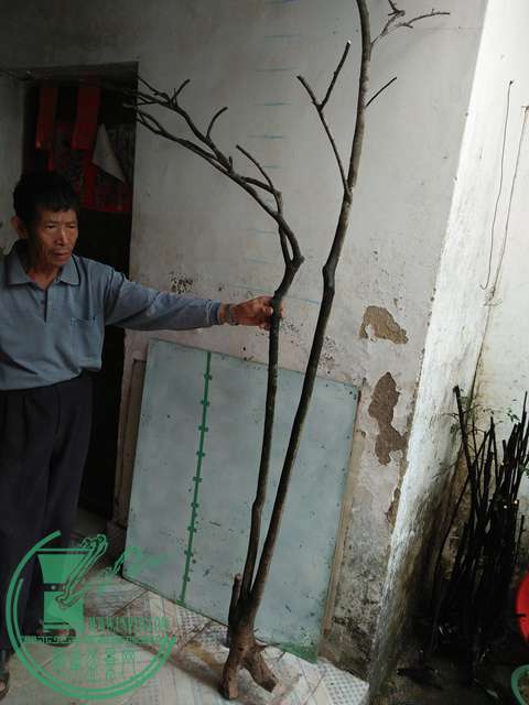 IMG20161217130505.jpg