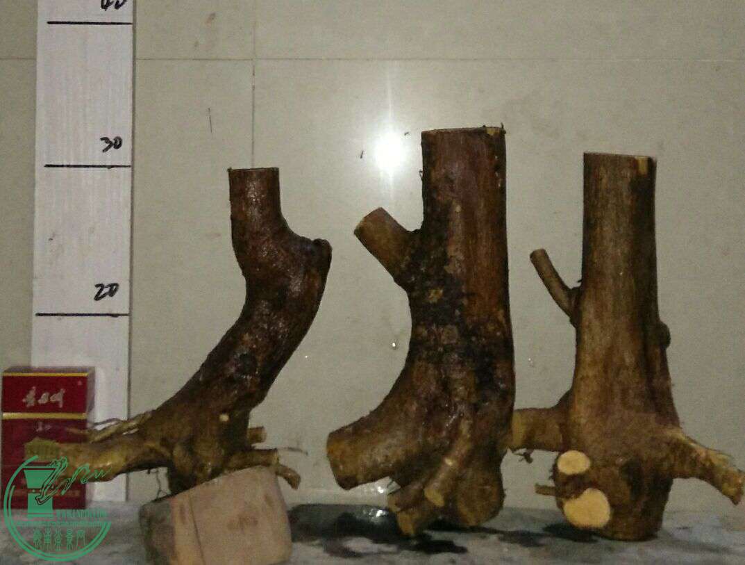 QQͼƬ20161217201633.jpg