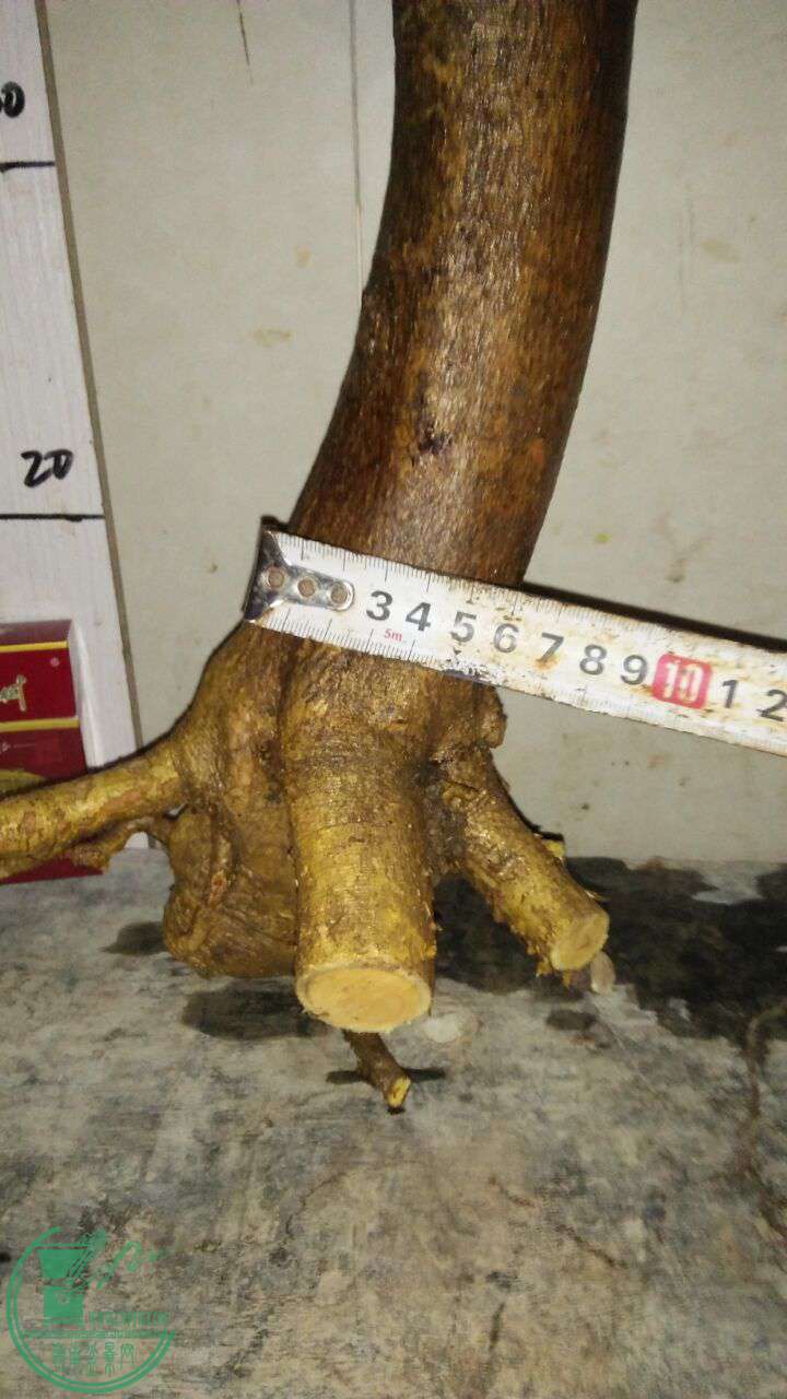 QQͼƬ20161217202206.jpg