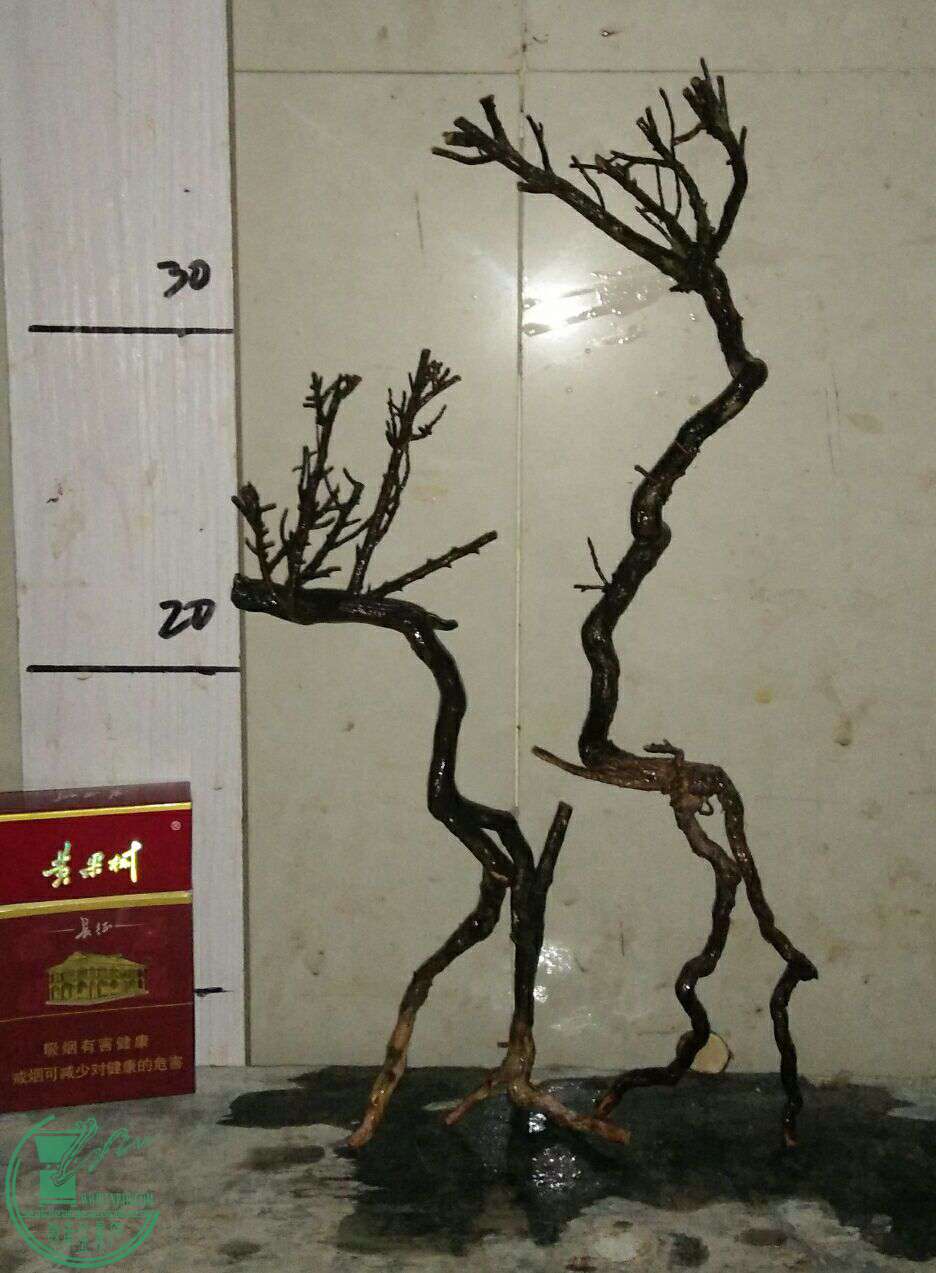 QQͼƬ20161217202859.jpg