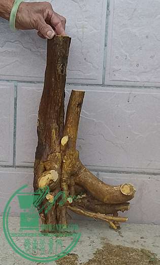 20161218_173556_mh1482057355086.jpg
