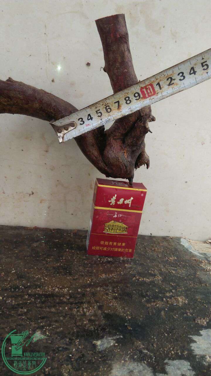 QQͼƬ20161218195744.jpg