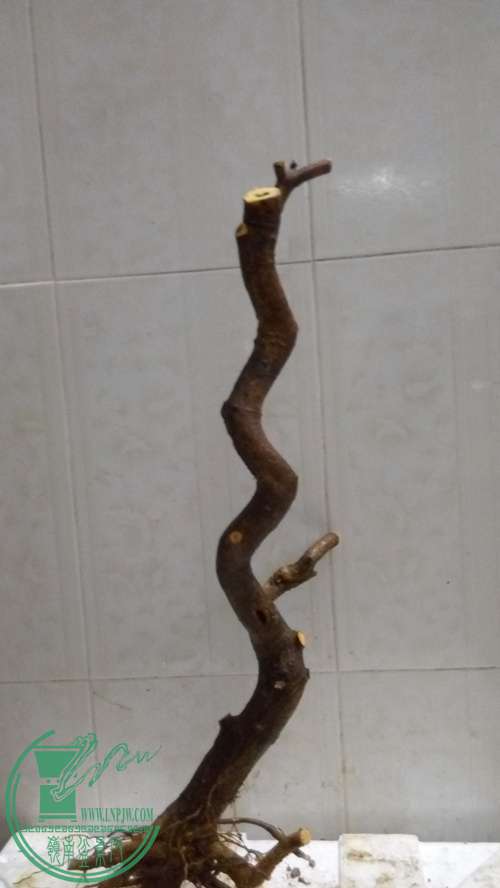 P61218-174910_.jpg