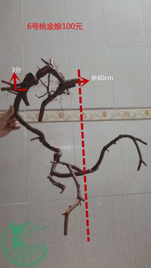 P61218-175729_.jpg