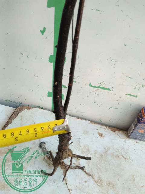 IMG20161218111554.jpg