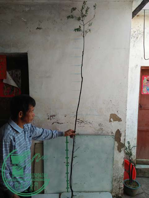 IMG20161218111534.jpg