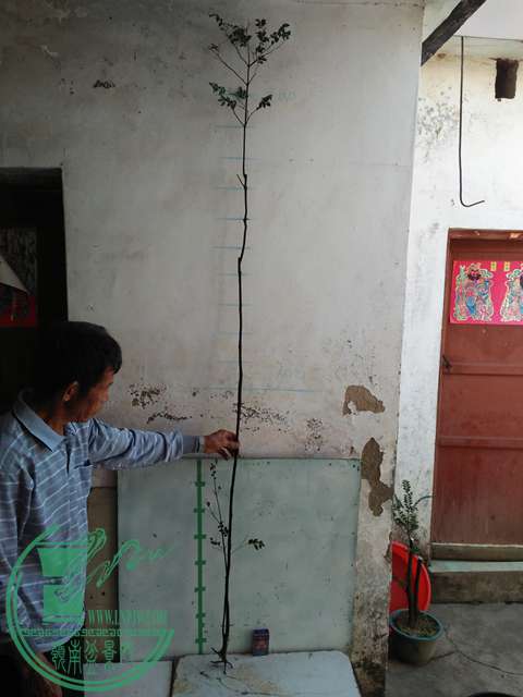 IMG20161218111603.jpg
