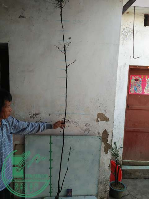 IMG20161218111633.jpg