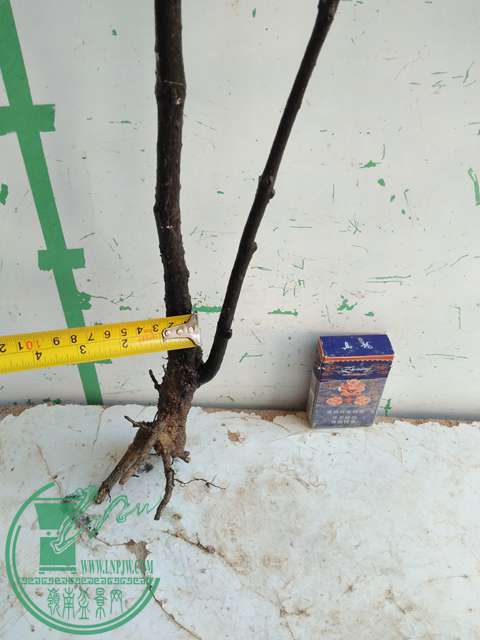 IMG20161218111642.jpg