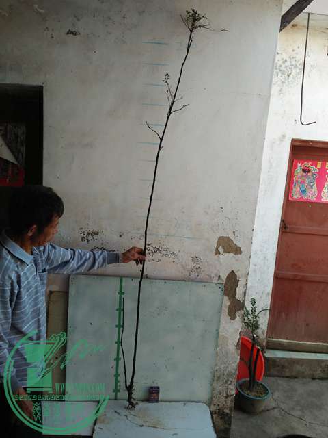 IMG20161218111650.jpg