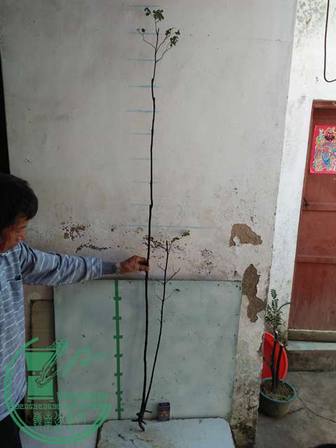 IMG20161218111712.jpg