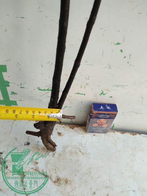 IMG20161218111718.jpg