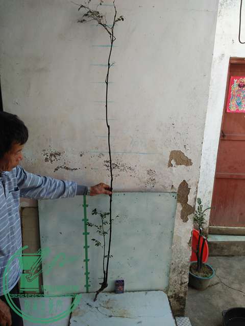 IMG20161218111805.jpg