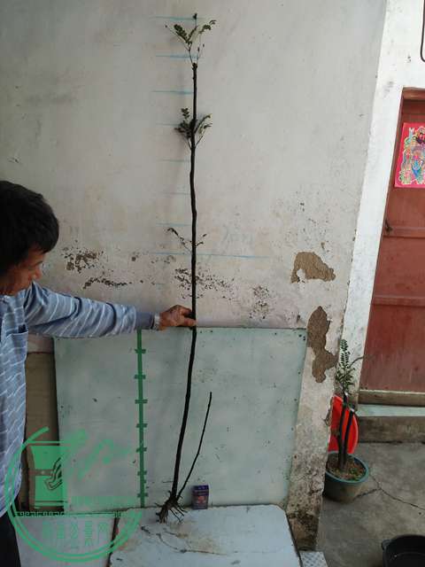 IMG20161218111837.jpg