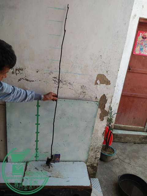 IMG20161218111901.jpg