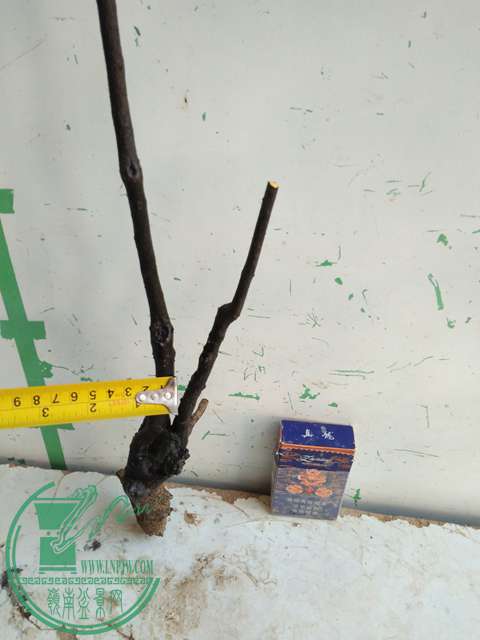 IMG20161218112107.jpg