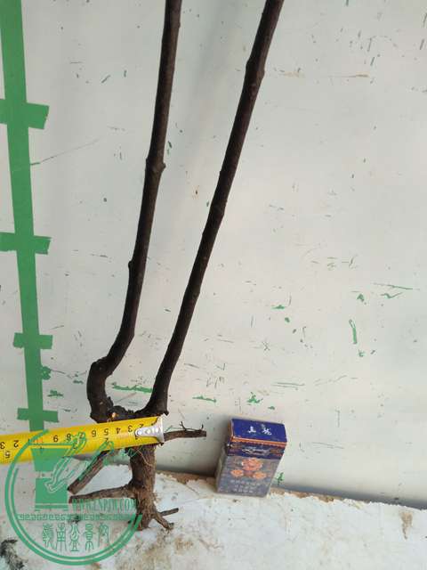 IMG20161218112133.jpg