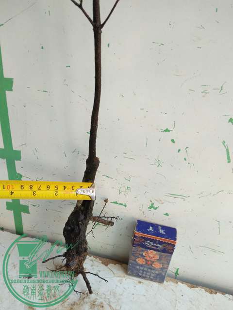 IMG20161218112301.jpg