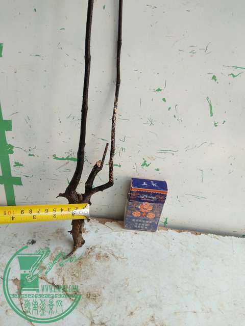 IMG20161218112326.jpg