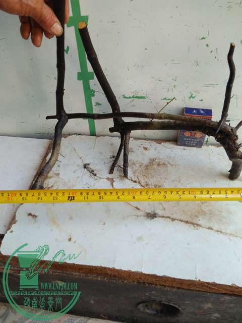 IMG20161218112549.jpg