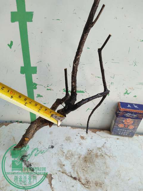 IMG20161218112744.jpg