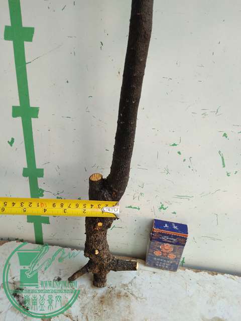 IMG20161218112804.jpg