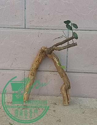 20161218_170524_mh1482058409005.jpg
