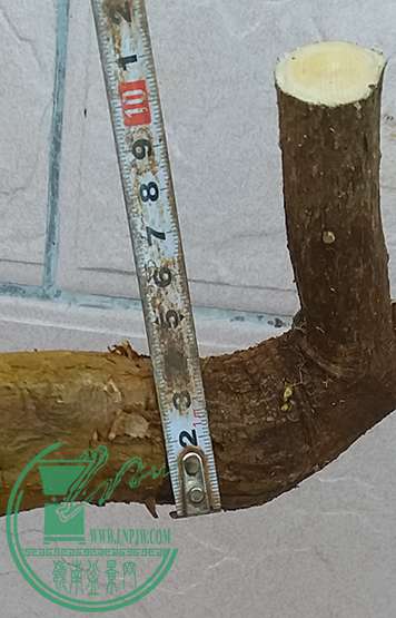 20161218_174025_mh1482057545562.jpg