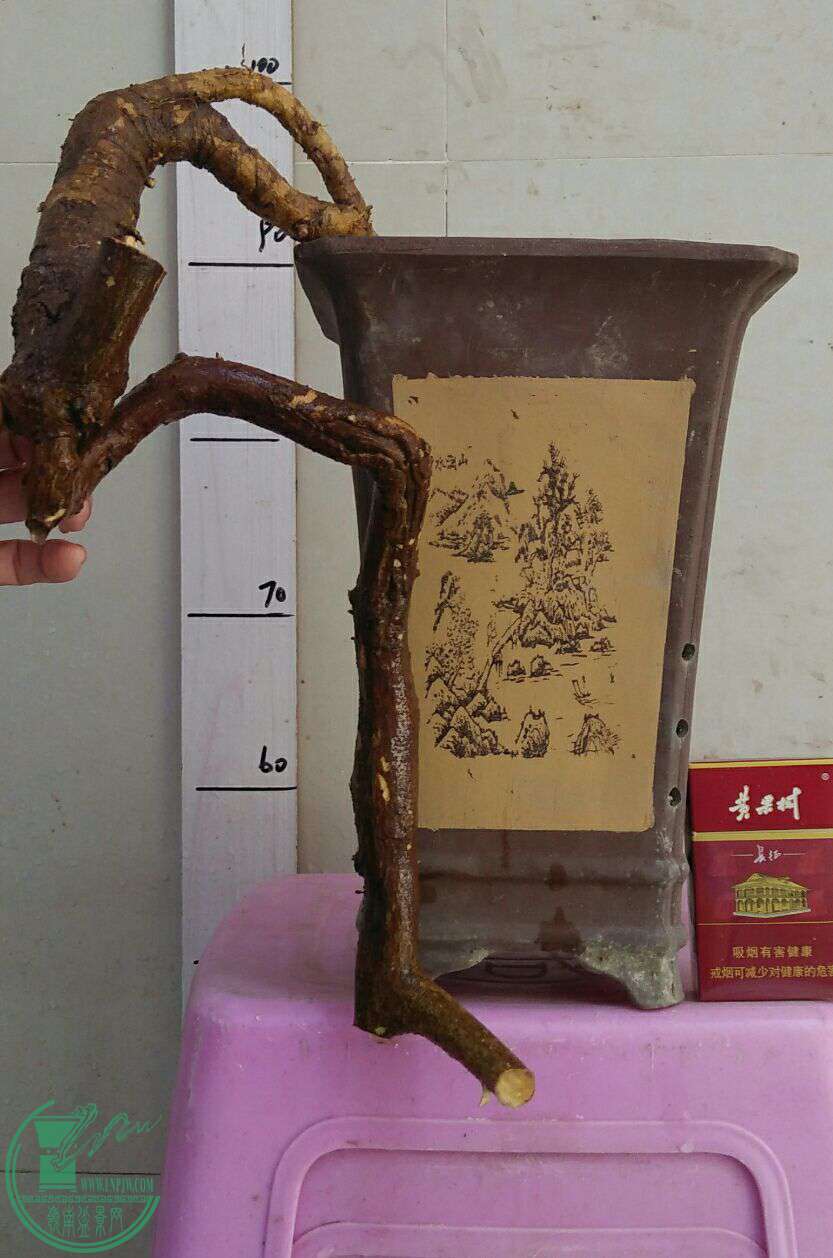 QQͼƬ20161219205058.jpg
