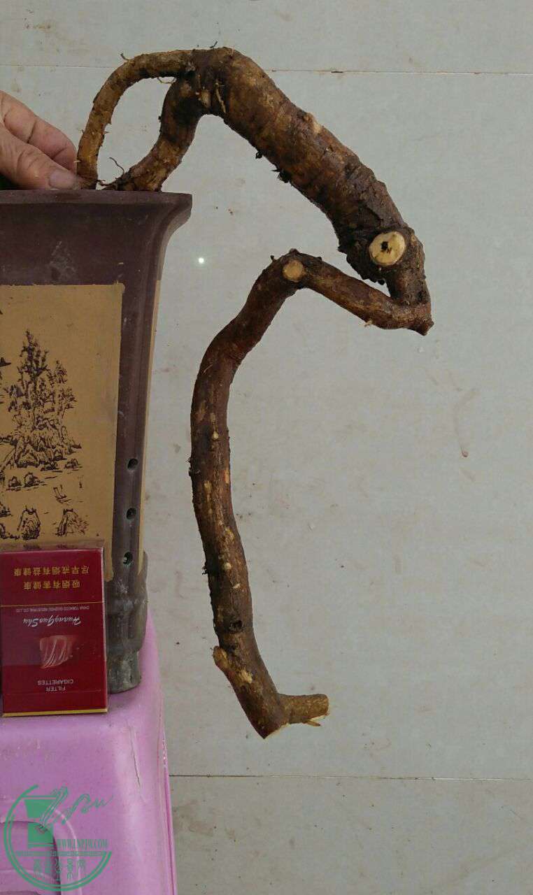 QQͼƬ20161219205052.jpg