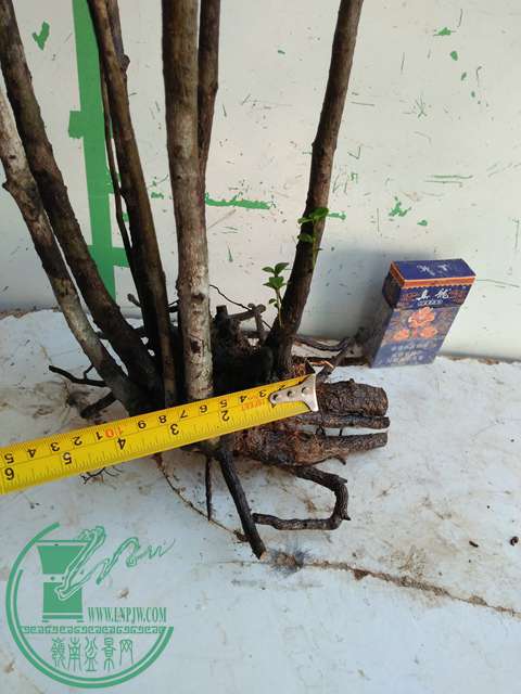 IMG20161219115513.jpg