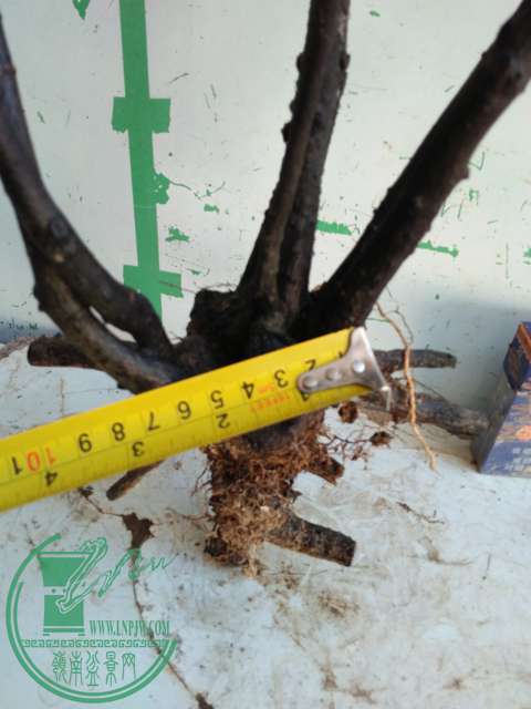 IMG20161219115624.jpg