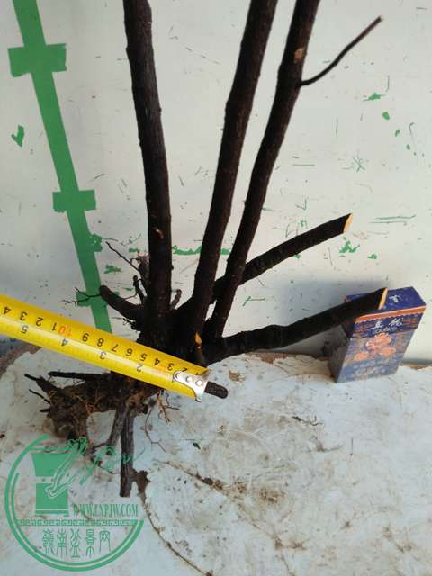 IMG20161219115707.jpg