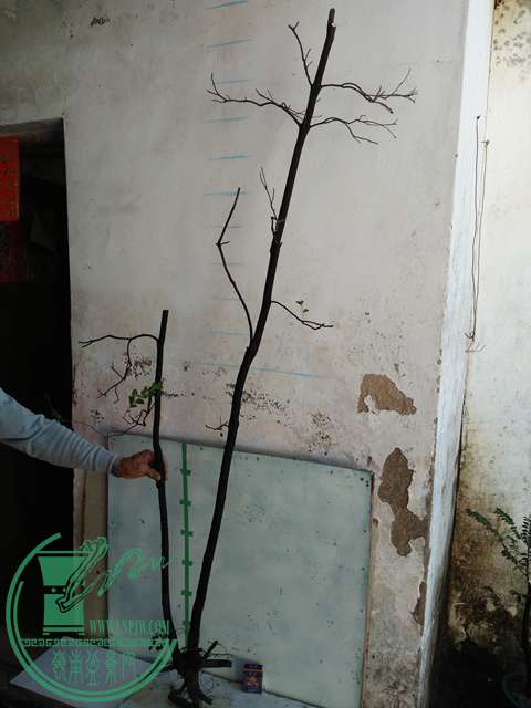 IMG20161219115832.jpg