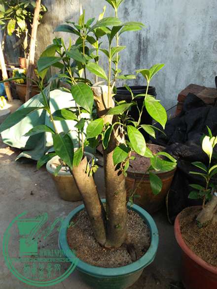 IMG20161219084415.jpg