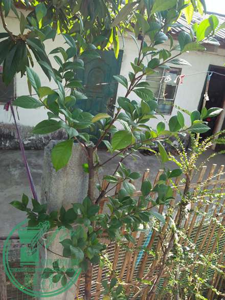 IMG20161219101207.jpg