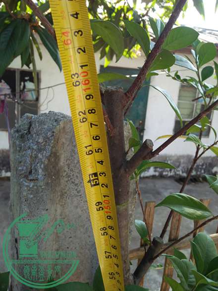 IMG20161219101240.jpg