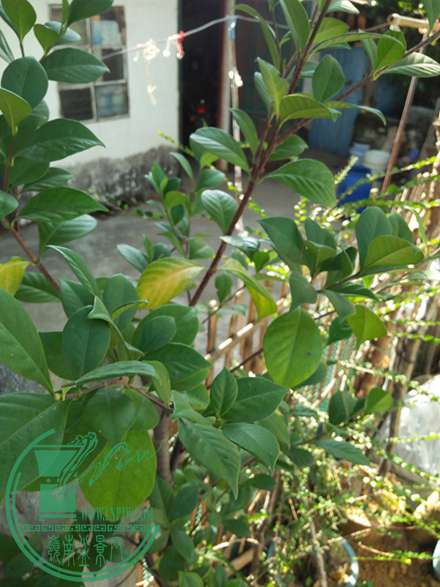IMG20161219101250.jpg