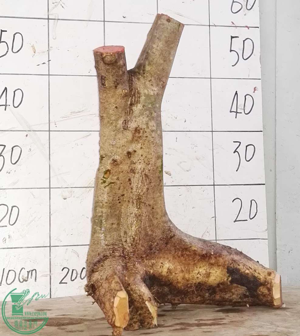 2ŶԽ360