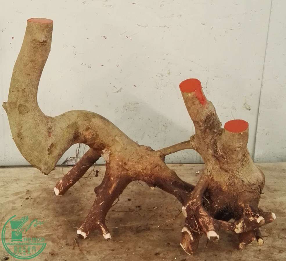 3СҶ650