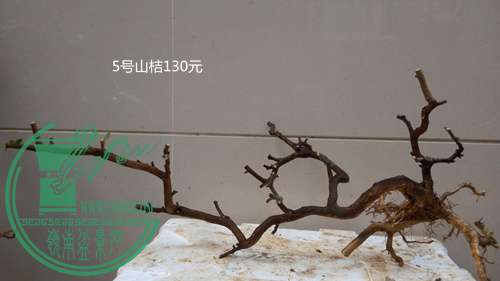 P61221-173553_.jpg