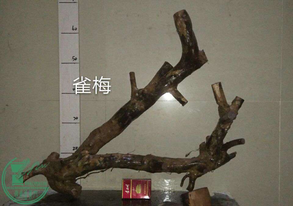 QQͼƬ20161221221536.jpg