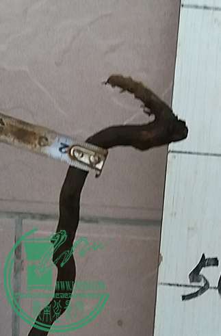 20161222_175609_mh1482403081687.jpg
