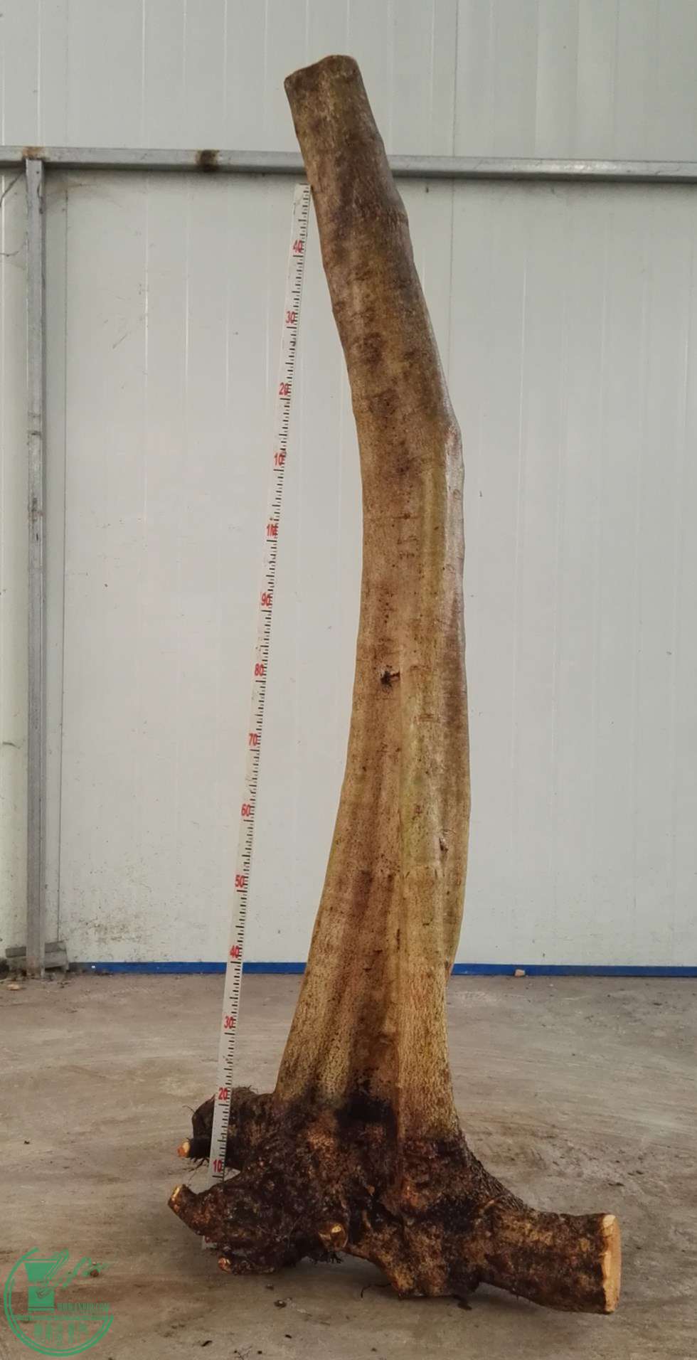 1ŶԽ950