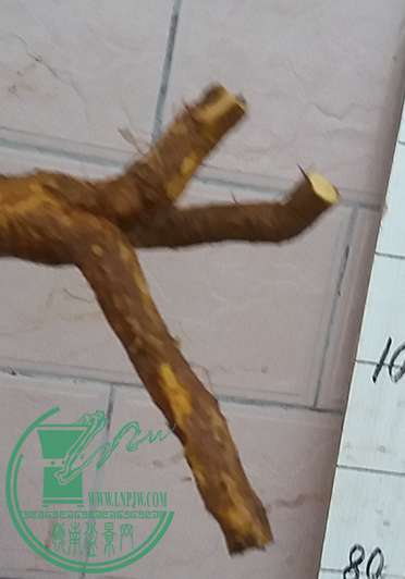 20161223_180133_mh1482491099751.jpg