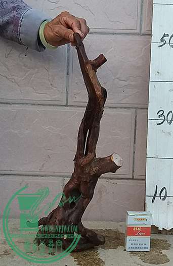 20161223_173826_mh1482490007565.jpg