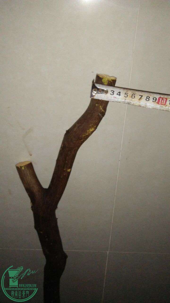 QQͼƬ20161223203725.jpg