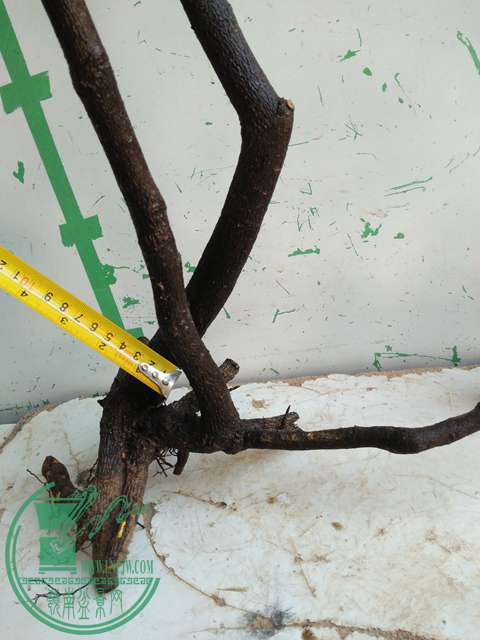 IMG20161223111322.jpg