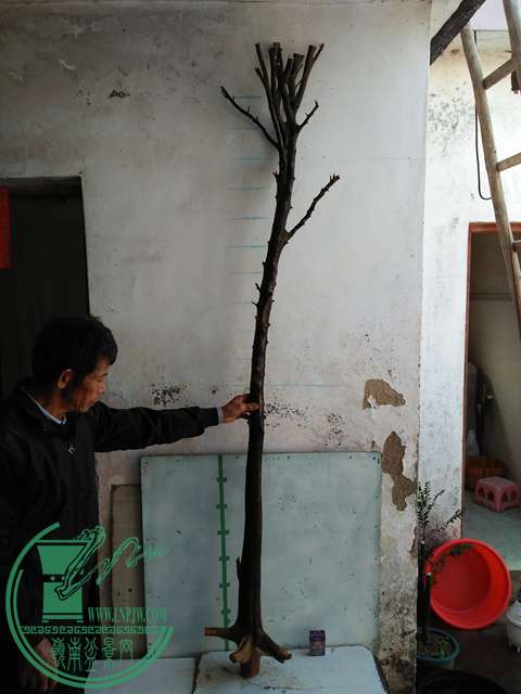 IMG20161223111719.jpg