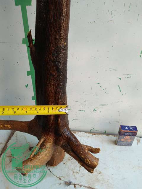 IMG20161223111732.jpg